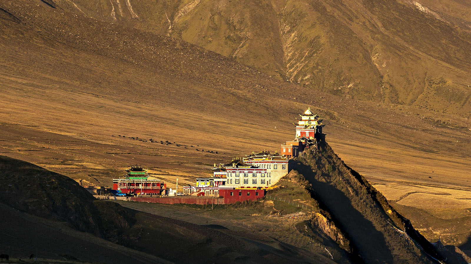 Tibet, source : liming0759, pixabay